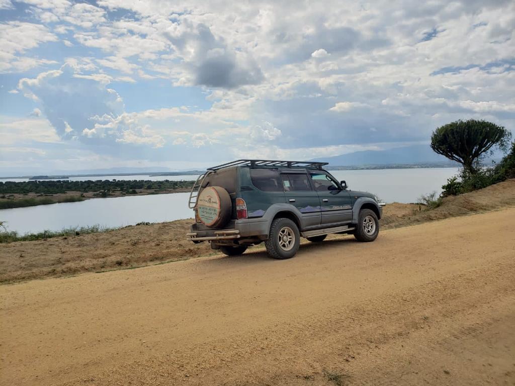 Uganda car rental for solo travel